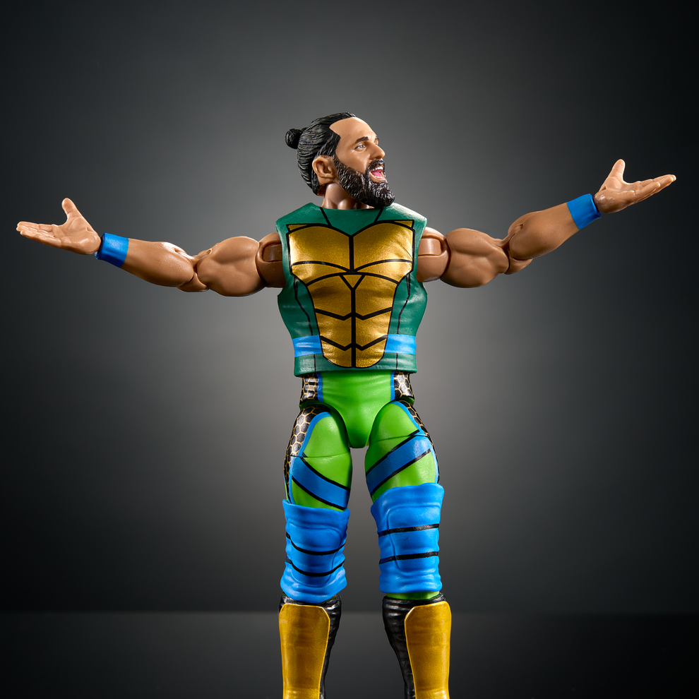 WWE Elite Collection Series- WWE X Teenage Mutant Ninja Turtles- Seth Rollins